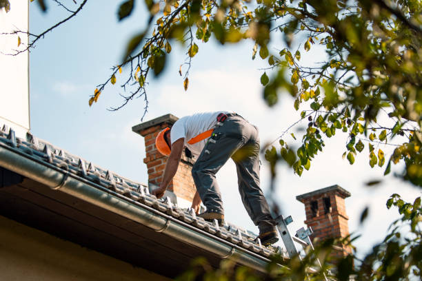 Roof Gutter Cleaning in Leesport, PA